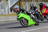 brands-hatch-photographs;brands-no-limits-trackday;cadwell-trackday-photographs;enduro-digital-images;event-digital-images;eventdigitalimages;no-limits-trackdays;peter-wileman-photography;racing-digital-images;trackday-digital-images;trackday-photos